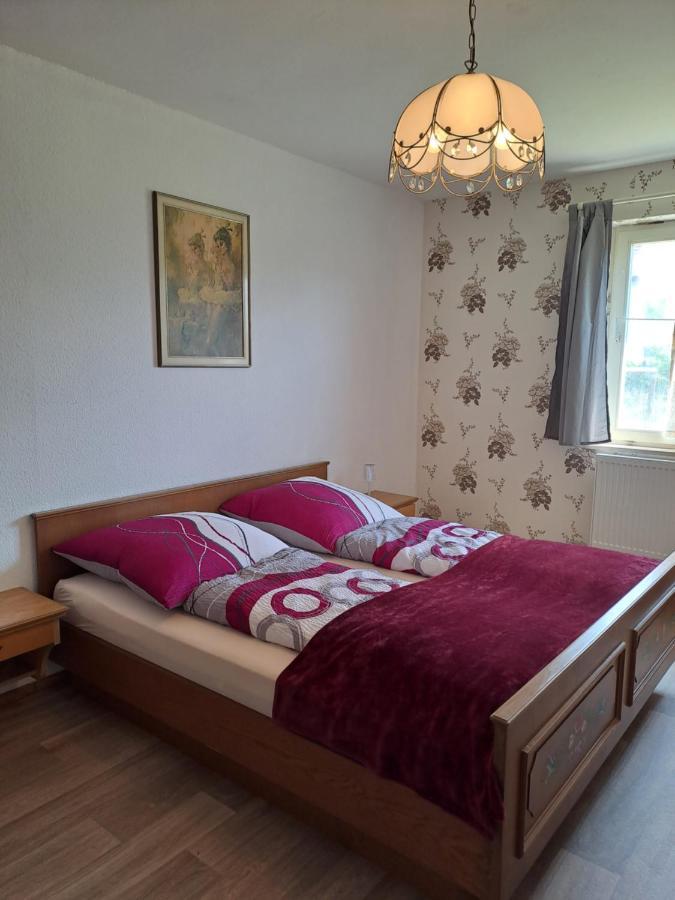 Keller'S Ferienwohnung An Der Saale Schwarzenbach an der Saale エクステリア 写真